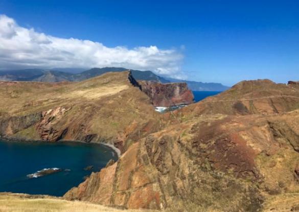Le jardin extraordinaire au milieu de l’Atlantique - Les matins du monde