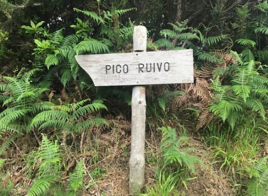 Madère - Le jardin extraordinaire au milieu de l’Atlantique