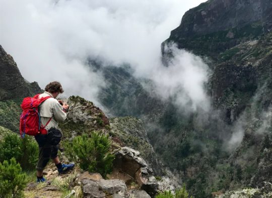 Madère - Découverte de Madère, un jardin vertical
