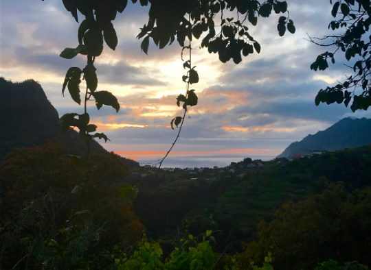 Madère - Découverte de Madère, un jardin vertical