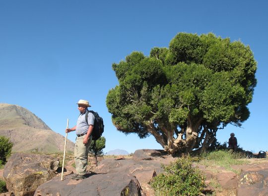 Maroc - Le Jbel Rat – Haut-Atlas marocain