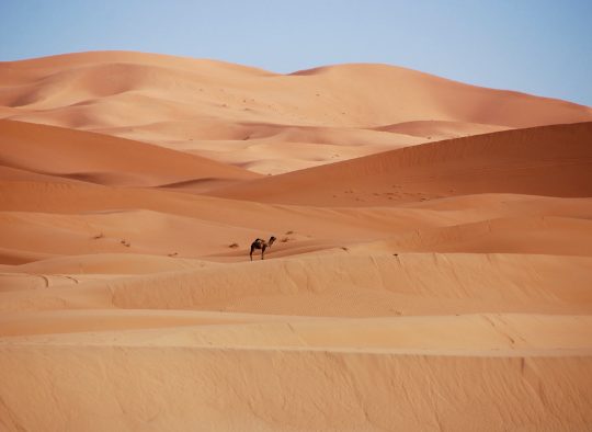 Maroc - A la carte : votre voyage sur mesure