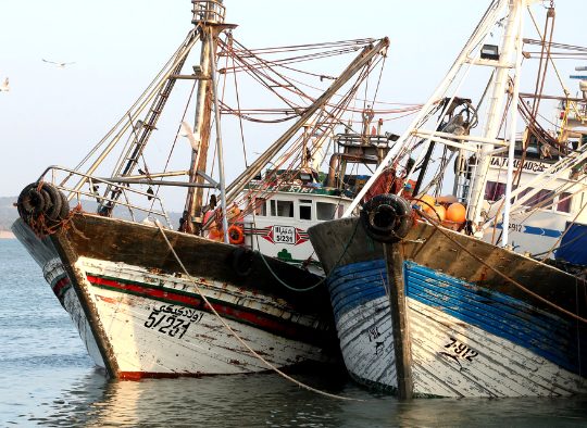 Maroc - A la carte : votre voyage sur mesure