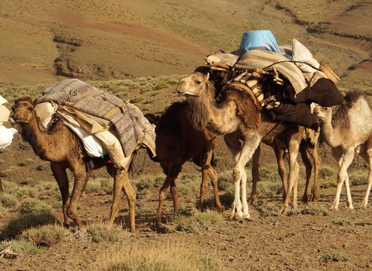 Maroc - Trek des nomades