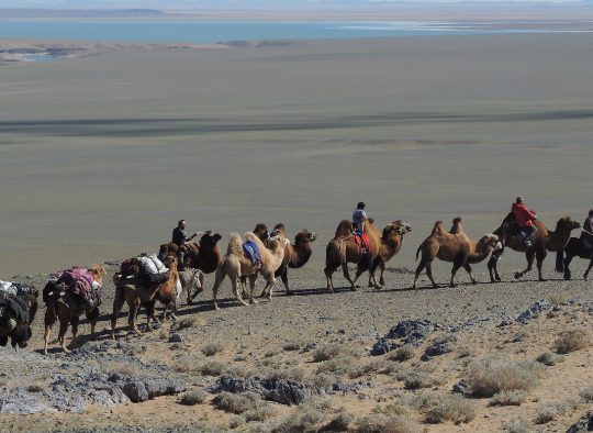 Mongolie - La Route du Sel