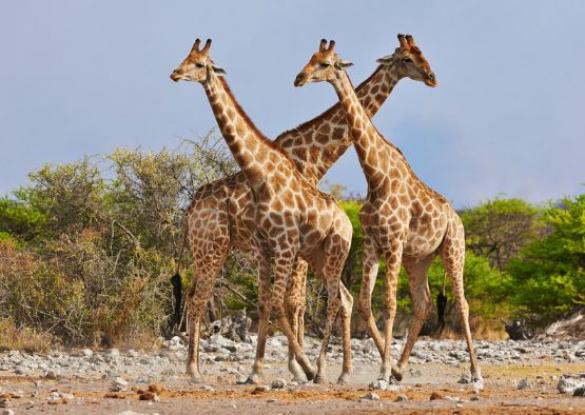 Découverte de la Namibie en Liberté - 20 jours - Les matins du monde