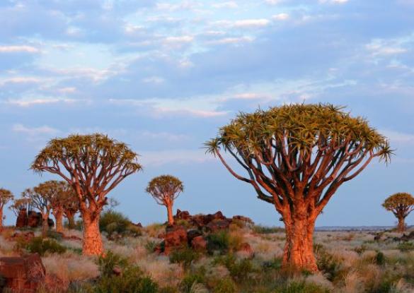 Découverte de la Namibie en Liberté - 16 jours - Les matins du monde