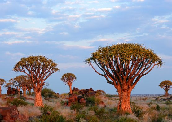 Découverte de la Namibie en Liberté - 16 jours - Les matins du monde