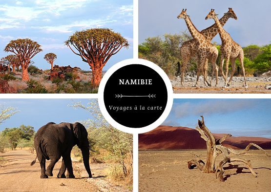 A la carte : votre voyage sur mesure - Les matins du monde