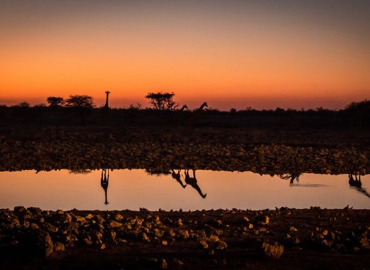 Namibie - A la carte : votre voyage sur mesure