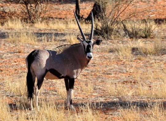 Namibie - A la carte : votre voyage sur mesure