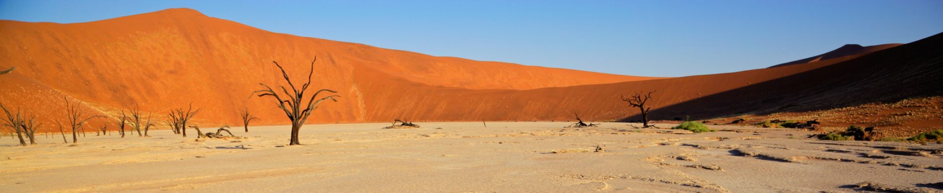 Namibie - Les Matins du Monde