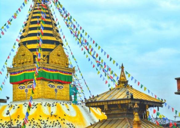 Yoga Retreat & Randonnée - Les matins du monde