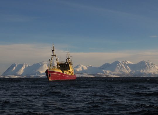 Norvège - Ski de randonnée au départ d'un bateau, dans les Alpes de Lyngen