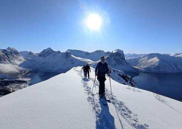 Senja - Les matins du monde
