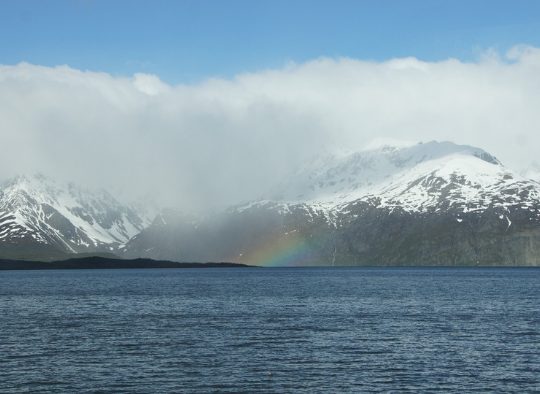 Norvège - Bateau et ski de randonnée dans les Lofoten