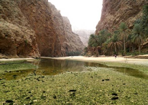 Entre Mer et désert - Les matins du monde