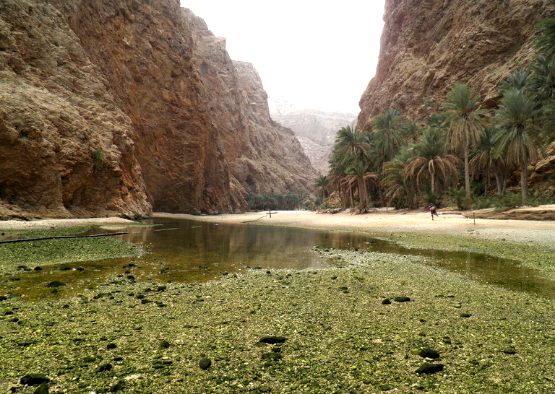 Entre Mer et désert - Les matins du monde