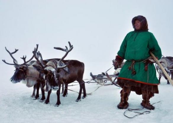 Ski de rando en Oural, au pays des Nénètses - Les matins du monde