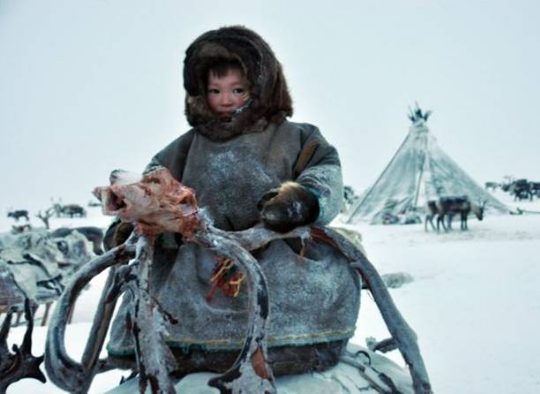 Russie - Ski de rando en Oural, au pays des Nénètses