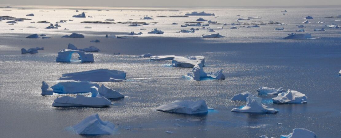 Retour d'Antarctique - 2013 | Les matins du monde