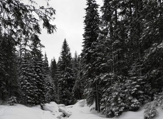 Pologne - Tatras à ski