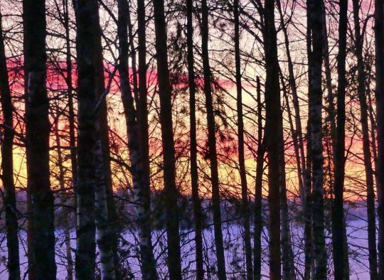 Russie - Séjour Randonnée Pulka en Russie