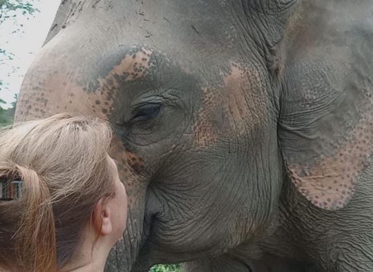 Grossvenediger : ascension et traversée du massif - Les matins du monde