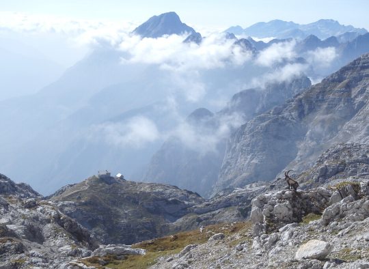Slovénie - Découverte du Triglav - Vallées de la Soca et de Voje