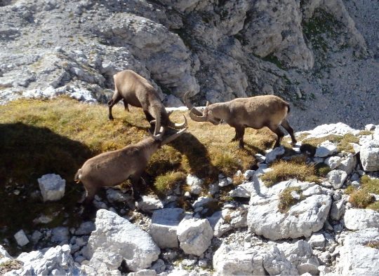Slovénie - Découverte du Triglav - Vallées de la Soca et de Voje