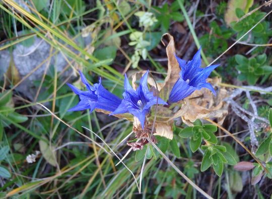 Slovénie - Découverte du Triglav - Vallées de la Soca et de Voje
