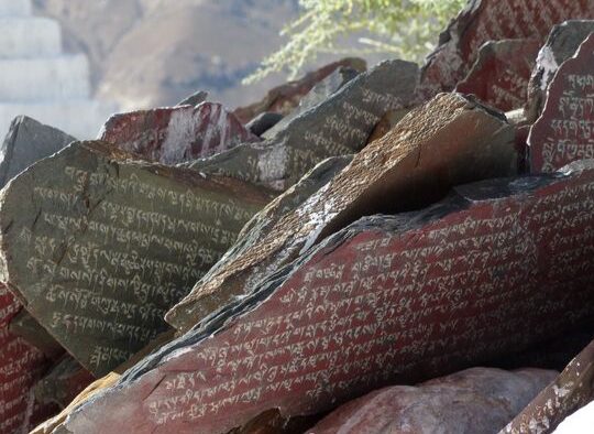 Tibet - Tibet sacré, Tibet sauvage