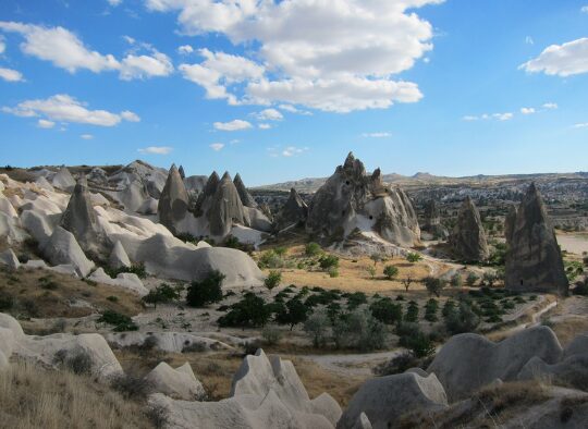 Découverte et Yoga - Les matins du monde