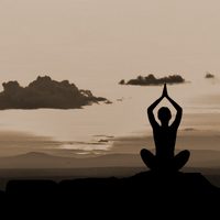 Spécialiste : Professeur de Yoga  - Les matins du monde
